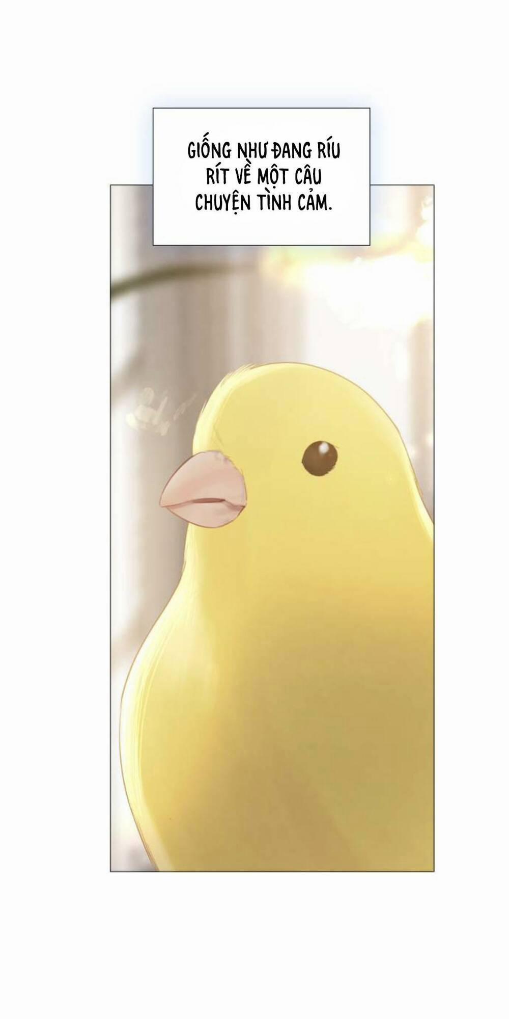 Khóc Đi, Hay Cầu Xin Tôi Cũng Được 16 trang 55
