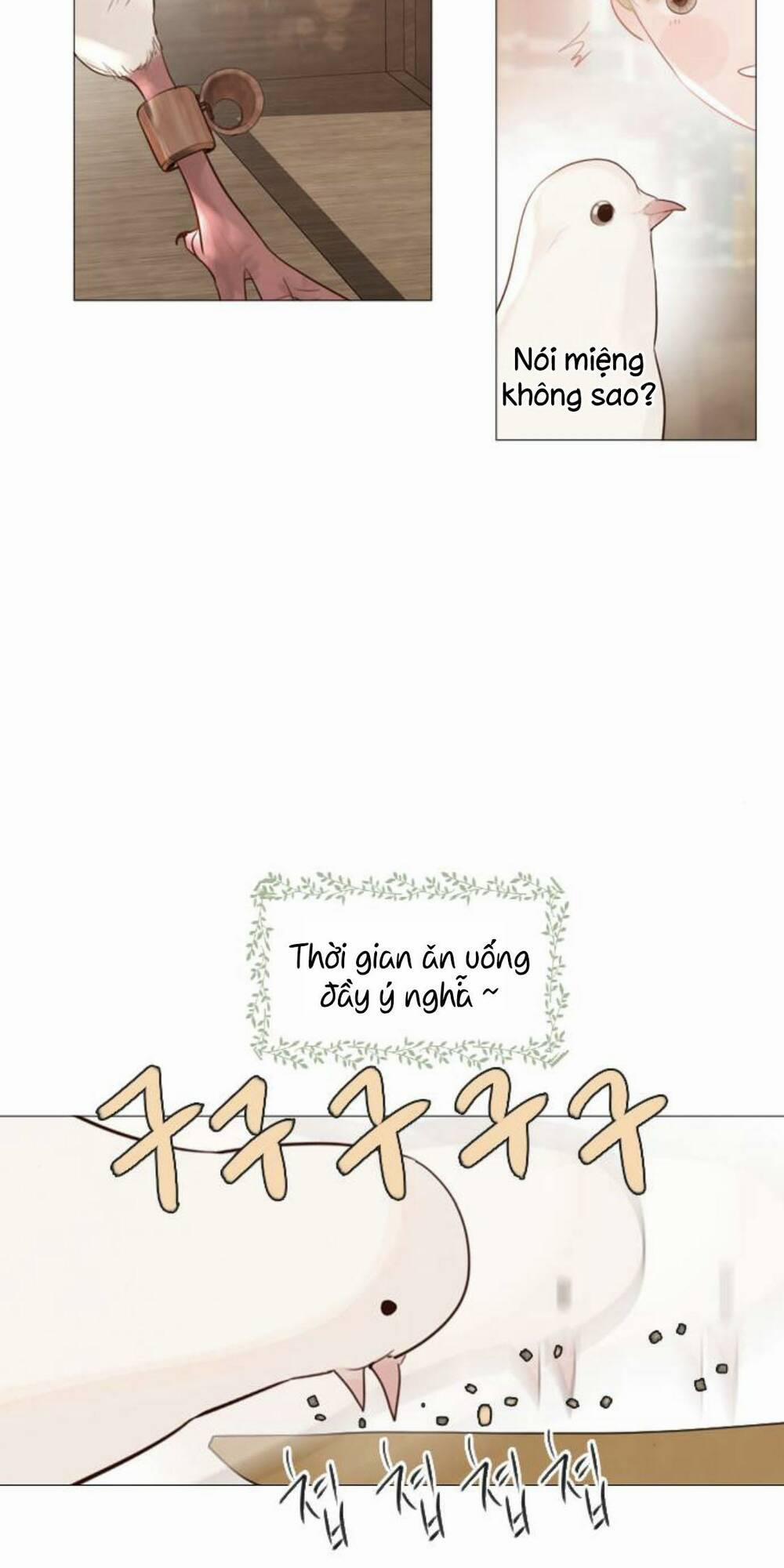 Khóc Đi, Hay Cầu Xin Tôi Cũng Được 19 trang 74