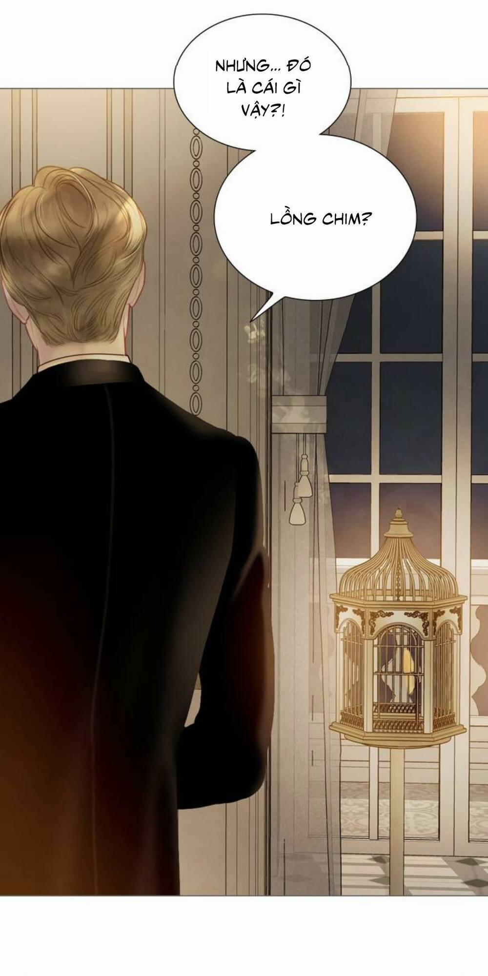 Khóc Đi, Hay Cầu Xin Tôi Cũng Được 21 trang 11