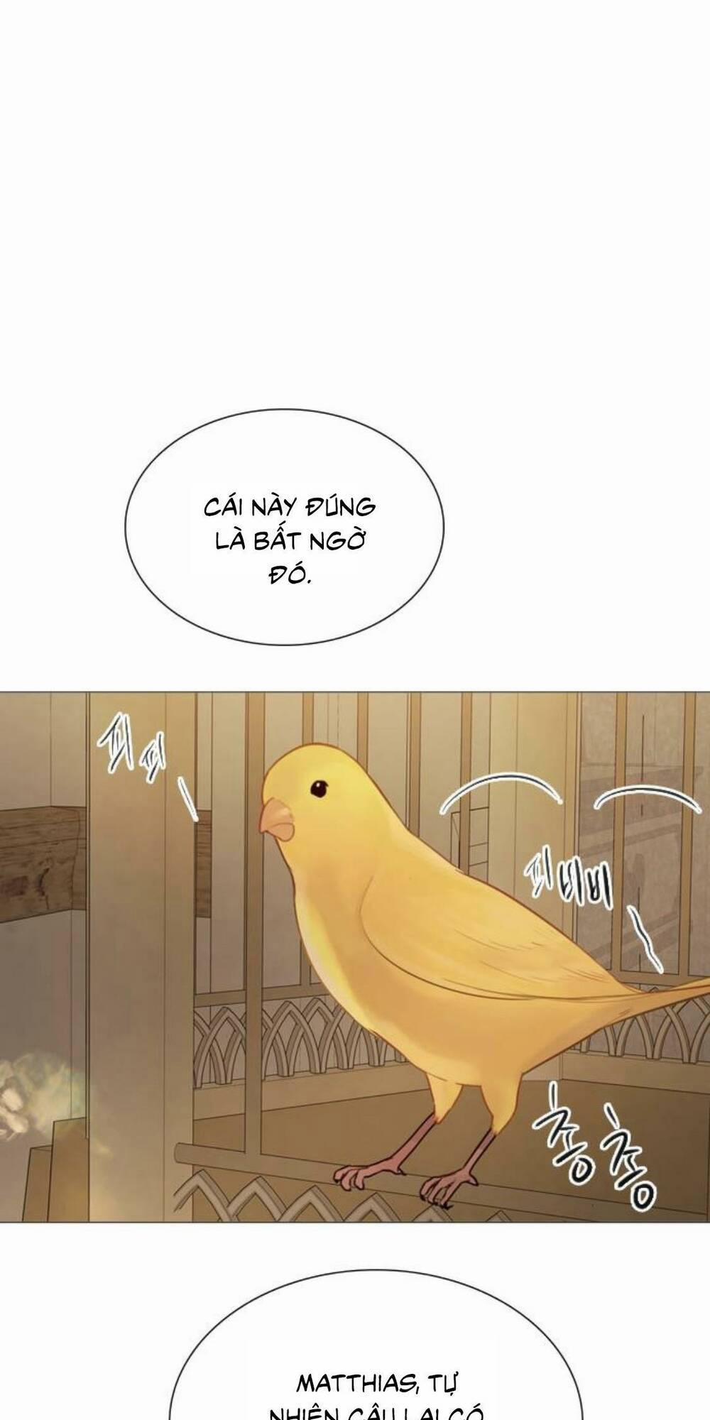 Khóc Đi, Hay Cầu Xin Tôi Cũng Được 21 trang 12