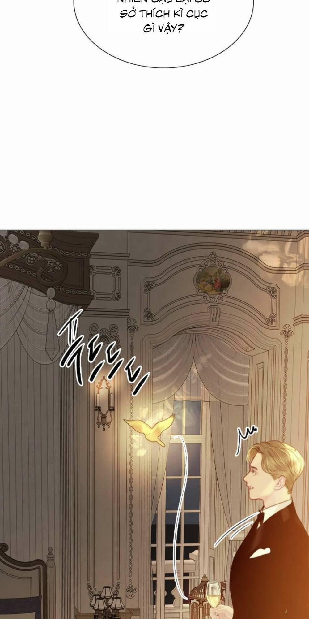 Khóc Đi, Hay Cầu Xin Tôi Cũng Được 21 trang 13