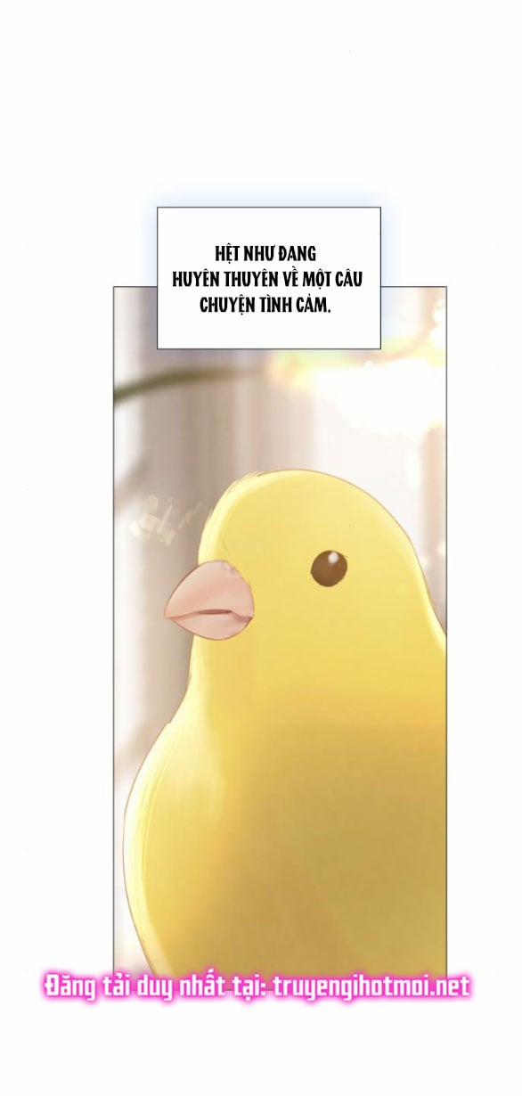 Khóc Đi Hay Là Cầu Xin Tôi Cũng Được 16.2 trang 10