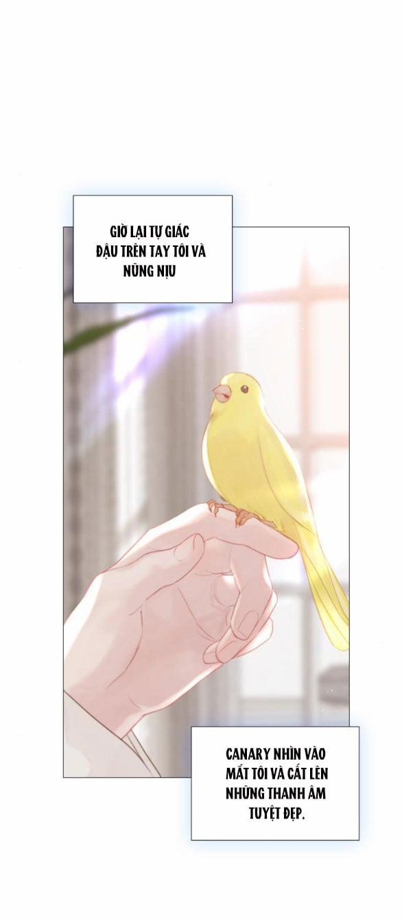 Khóc Đi Hay Là Cầu Xin Tôi Cũng Được 16.2 trang 9