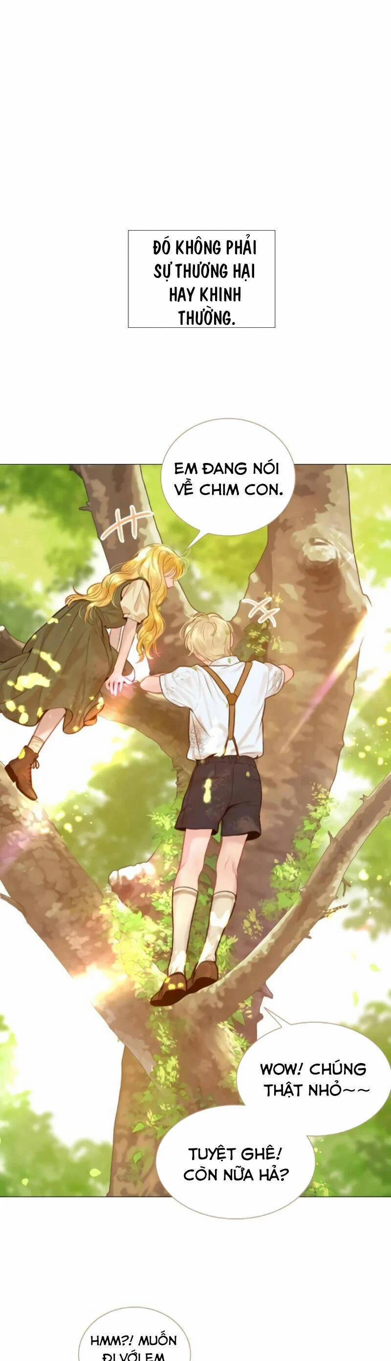 Khóc Đi Hay Là Cầu Xin Tôi Cũng Được 31 trang 45