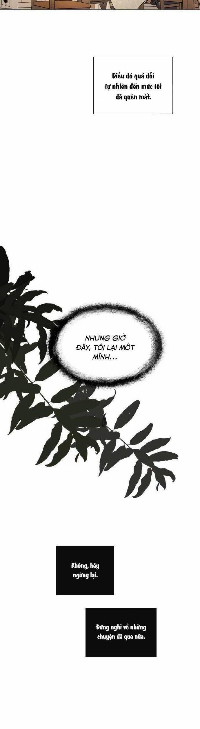 Khóc Đi Hay Là Cầu Xin Tôi Cũng Được 35 trang 14