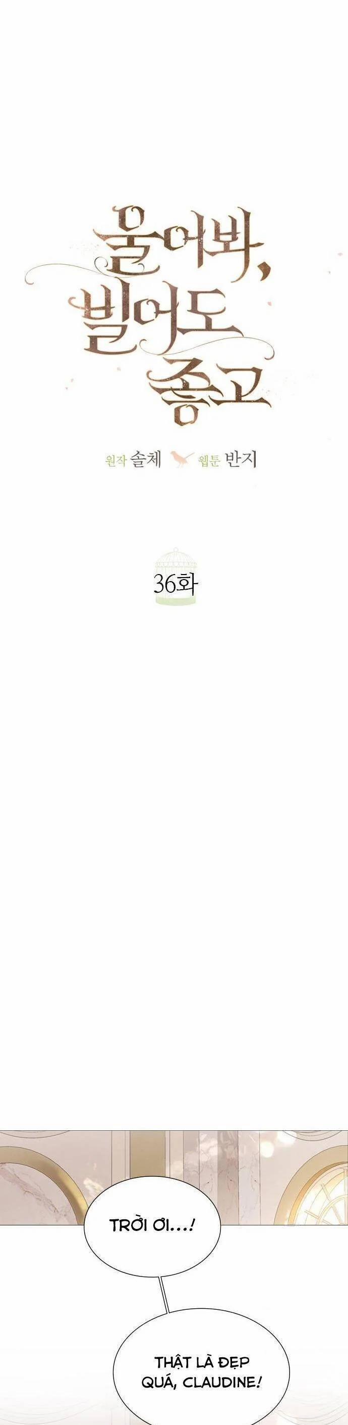Khóc Đi Hay Là Cầu Xin Tôi Cũng Được 36 trang 13