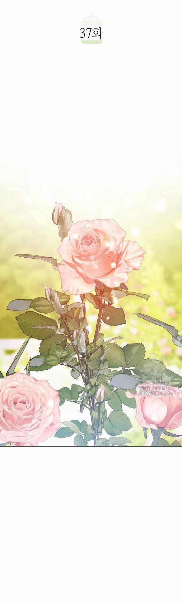 Khóc Đi Hay Là Cầu Xin Tôi Cũng Được 37 trang 17