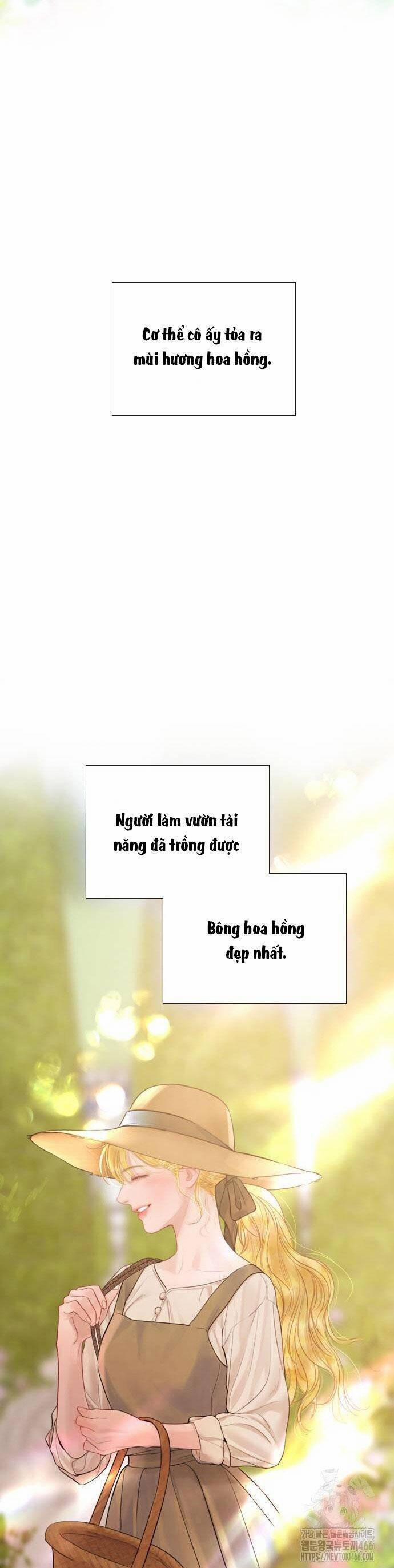 Khóc Đi Hay Là Cầu Xin Tôi Cũng Được 37 trang 47