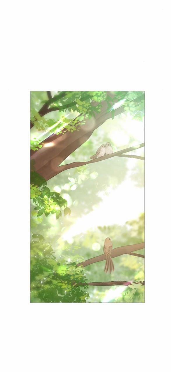 Khóc Đi Hay Là Cầu Xin Tôi Cũng Được 8.1 trang 11