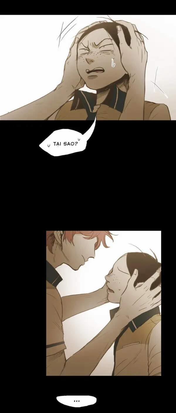 Không Bao Giờ Hiểu 24 trang 12