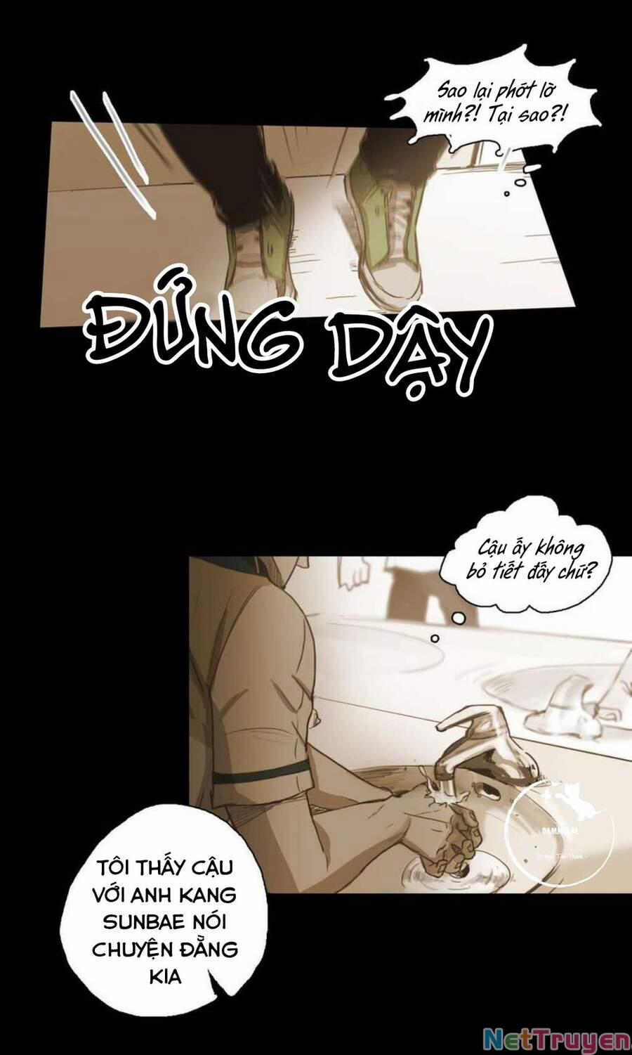 Không Bao Giờ Hiểu 40 trang 11