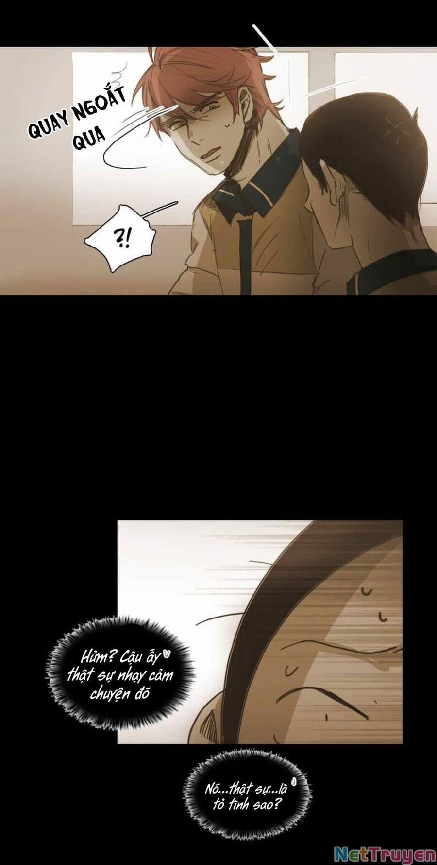 Không Bao Giờ Hiểu 40 trang 12
