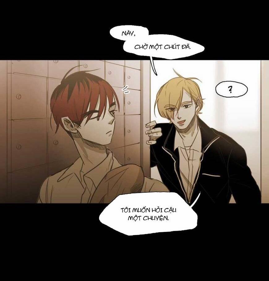 Không Bao Giờ Hiểu 55 trang 39