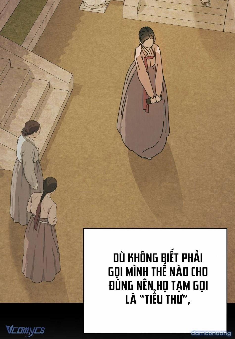 [Không Che] [18+] Ái Thiếp 5 trang 12