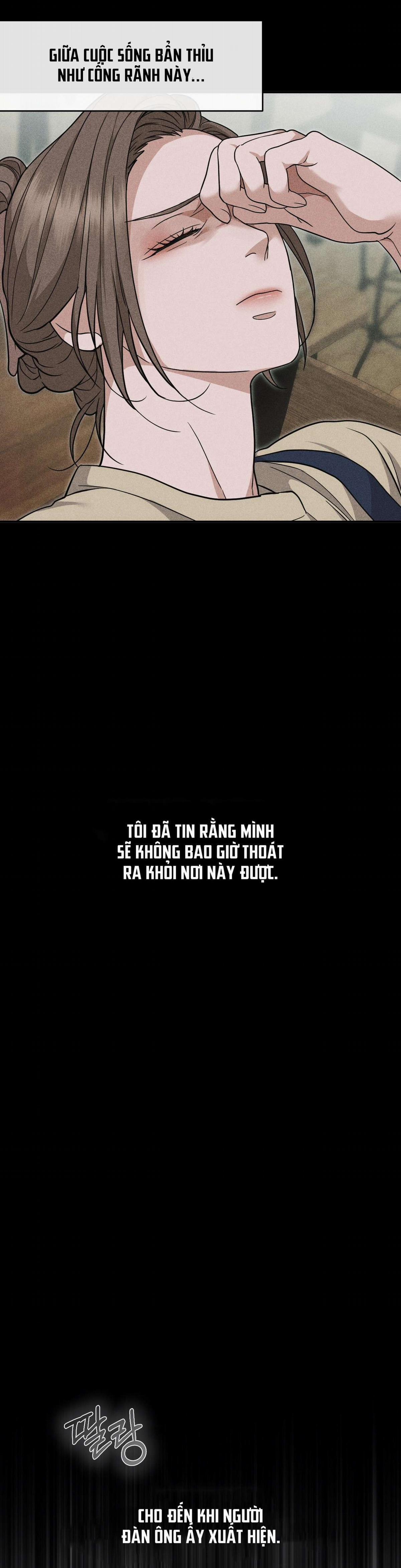 [Không Che] [18+] Chuyện Tình Hoa Violet 0 trang 2