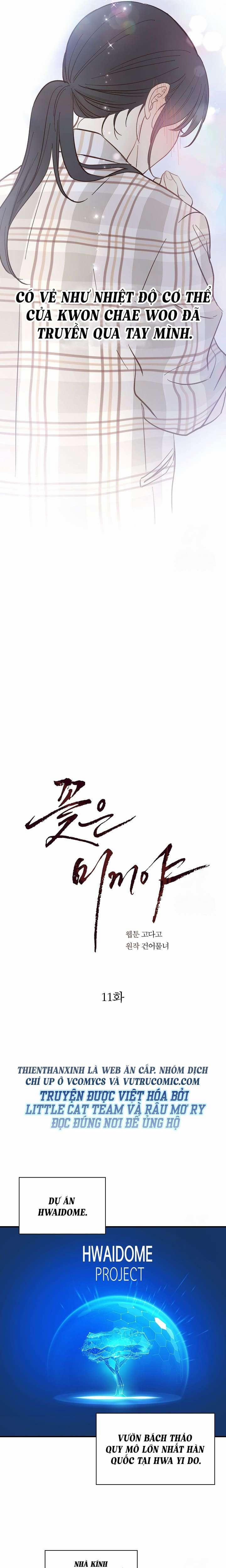 [Không Che] [18+] Đóa Hoa Là Mồi Nhử 11 trang 9