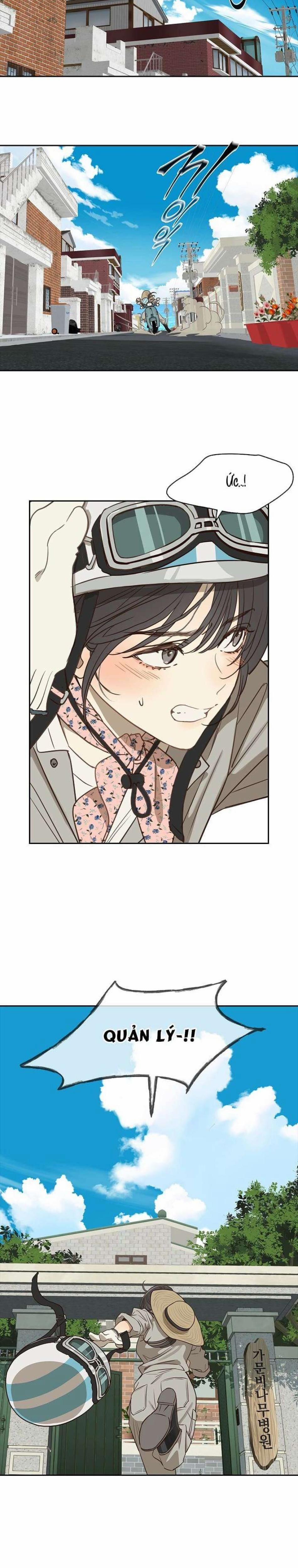 [Không Che] [18+] Đóa Hoa Là Mồi Nhử 2 trang 0