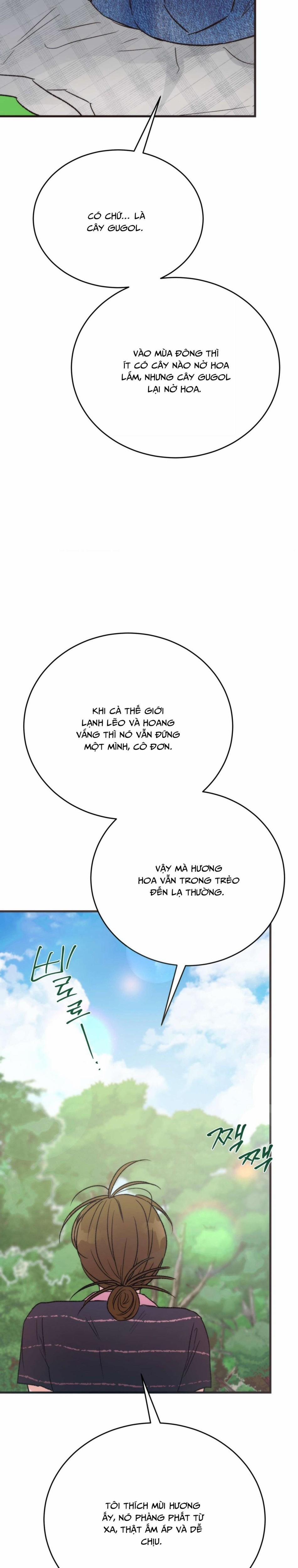 [Không Che] [18+] Thánh Ca Mùa Hạ 13 trang 27