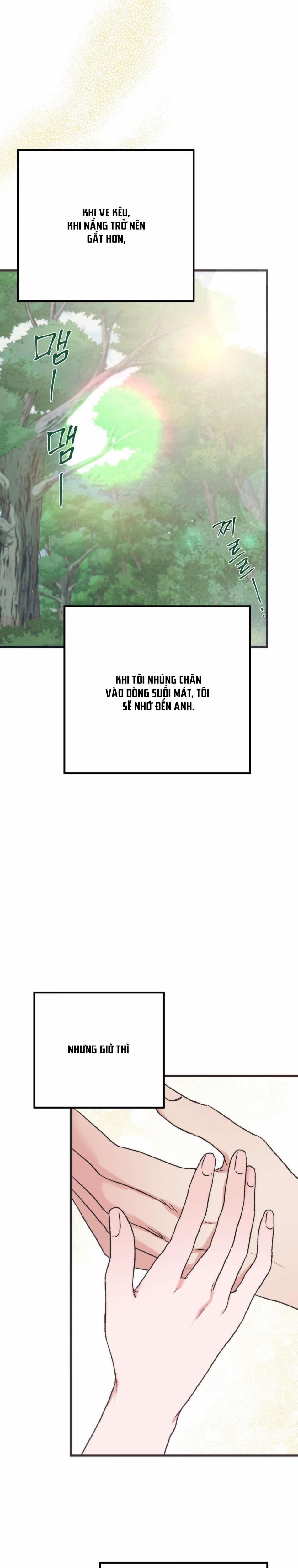 [Không Che] [18+] Thánh Ca Mùa Hạ 14 trang 6