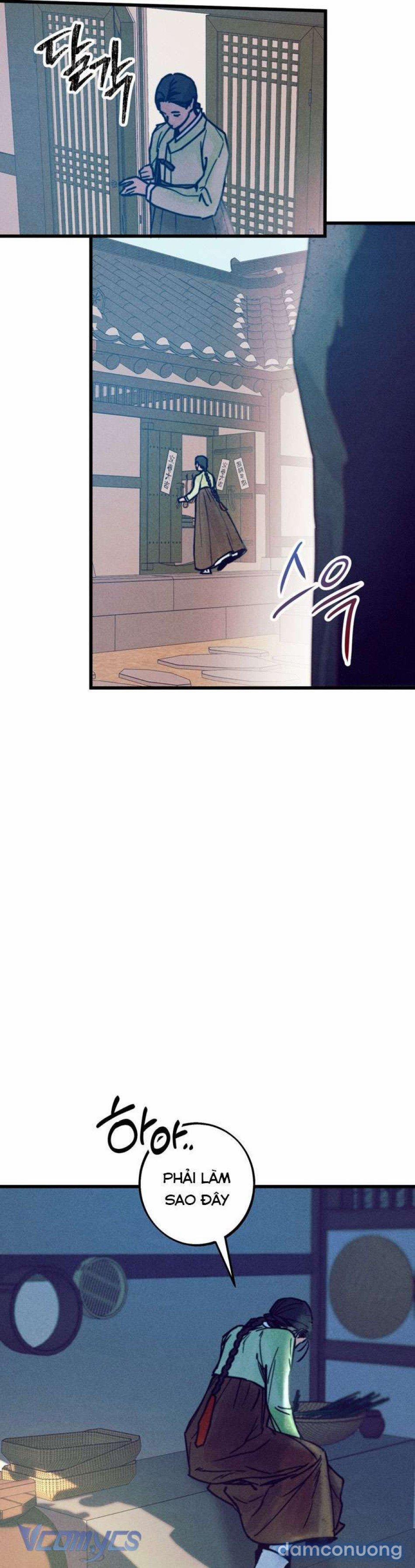 [Không Che] Lễ Thành Hôn Tháng 5 1 trang 12