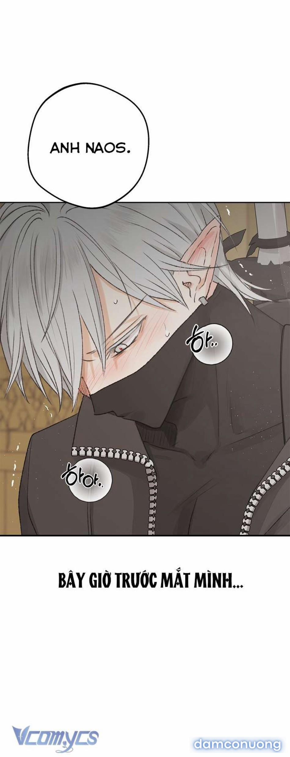 [Không Che] Yêu Tinh Giao Phối 1 trang 3