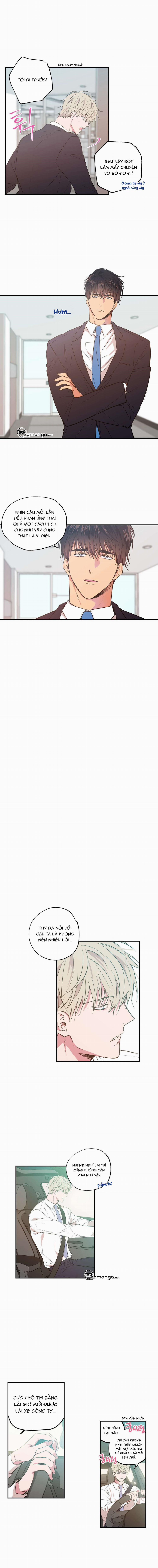 Không Chốn Yêu Đương 12 trang 2