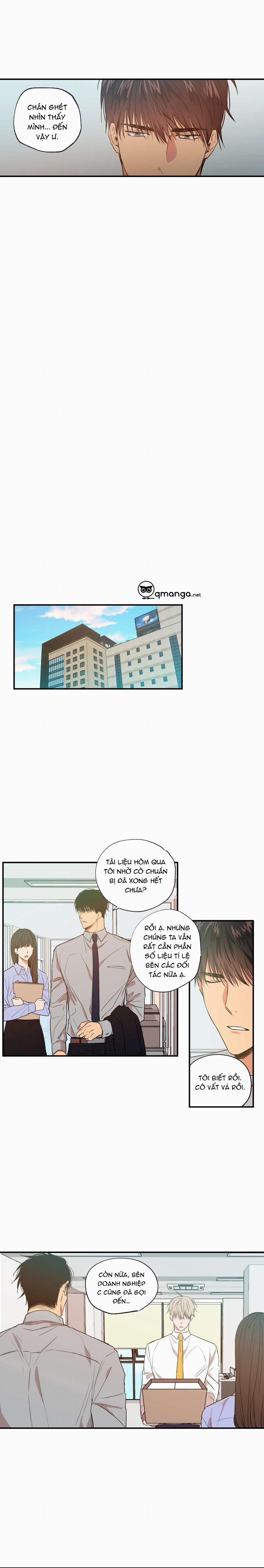 Không Chốn Yêu Đương 13 trang 5