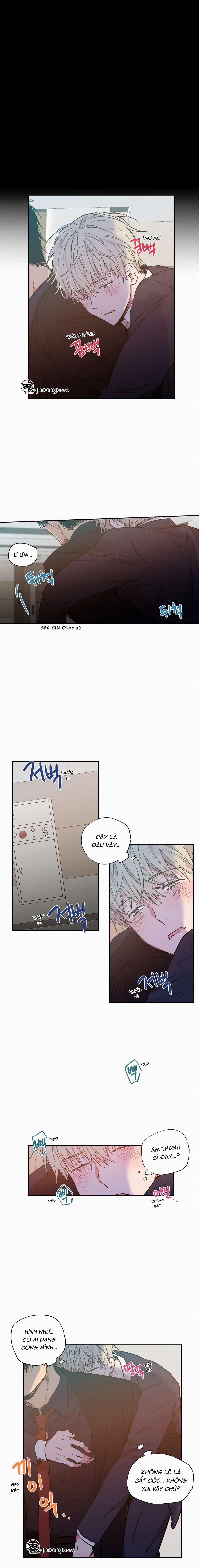 Không Chốn Yêu Đương 14 trang 8