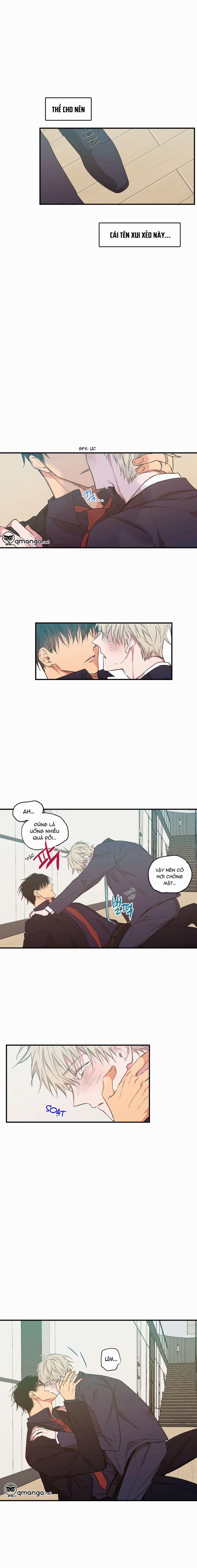 Không Chốn Yêu Đương 15 trang 5