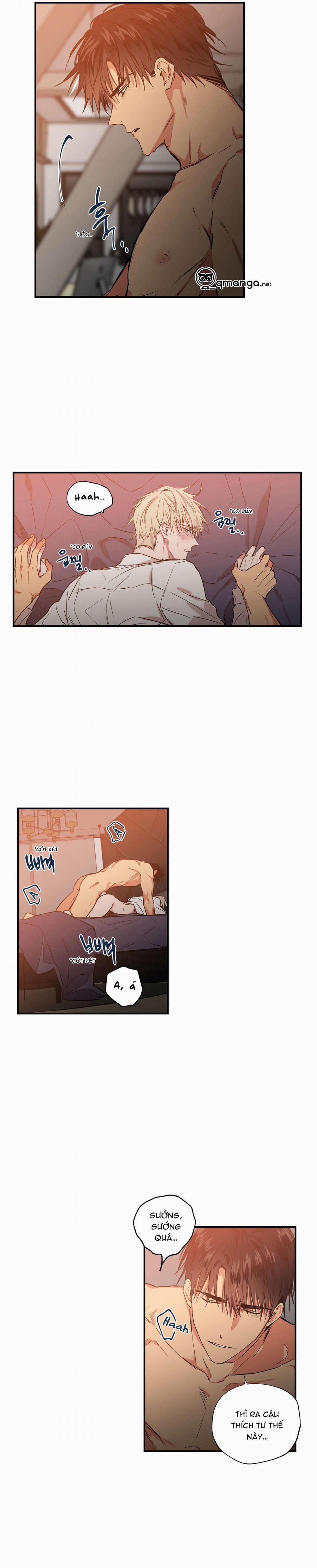 Không Chốn Yêu Đương 16 trang 8