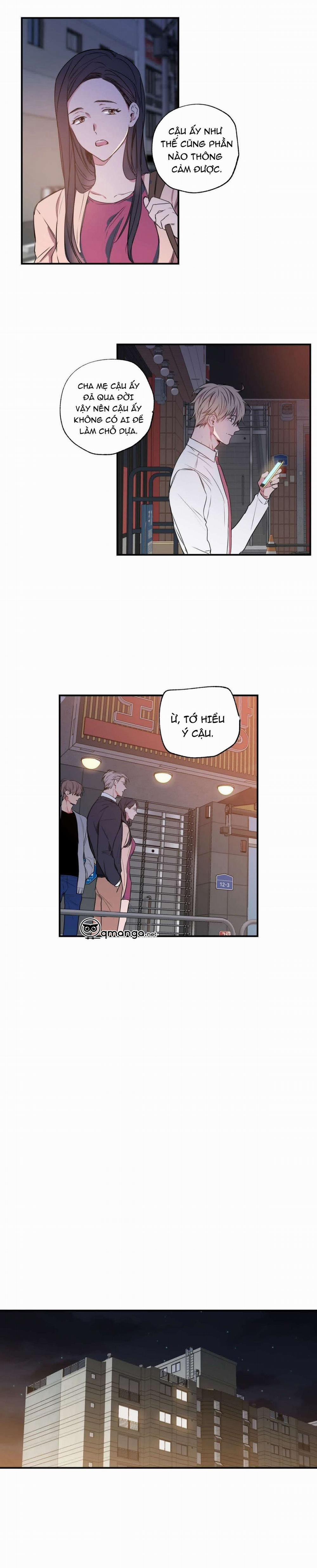 Không Chốn Yêu Đương 4 trang 8