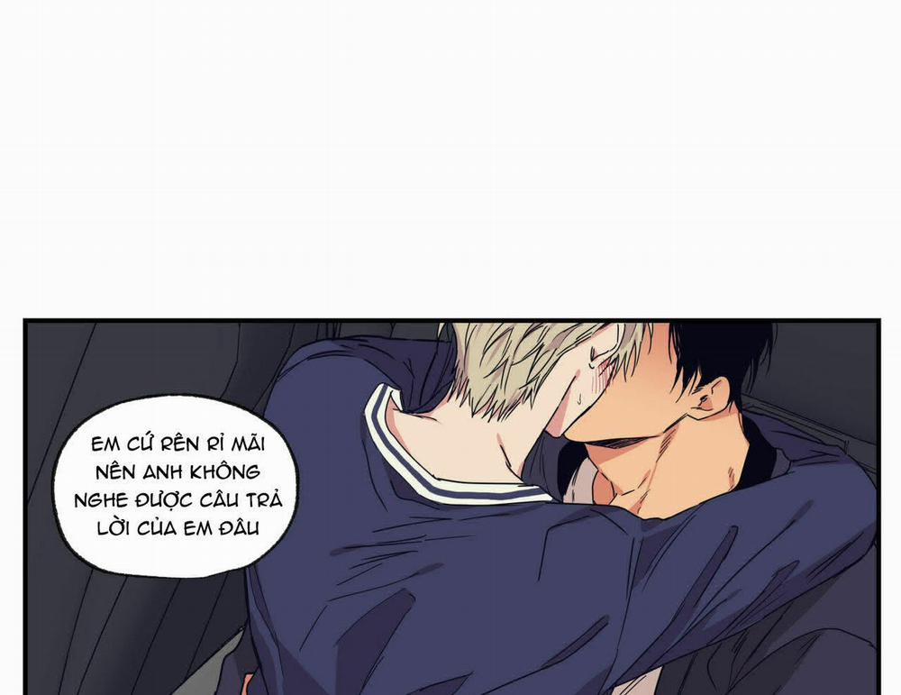 Không Chốn Yêu Đương 52 trang 40