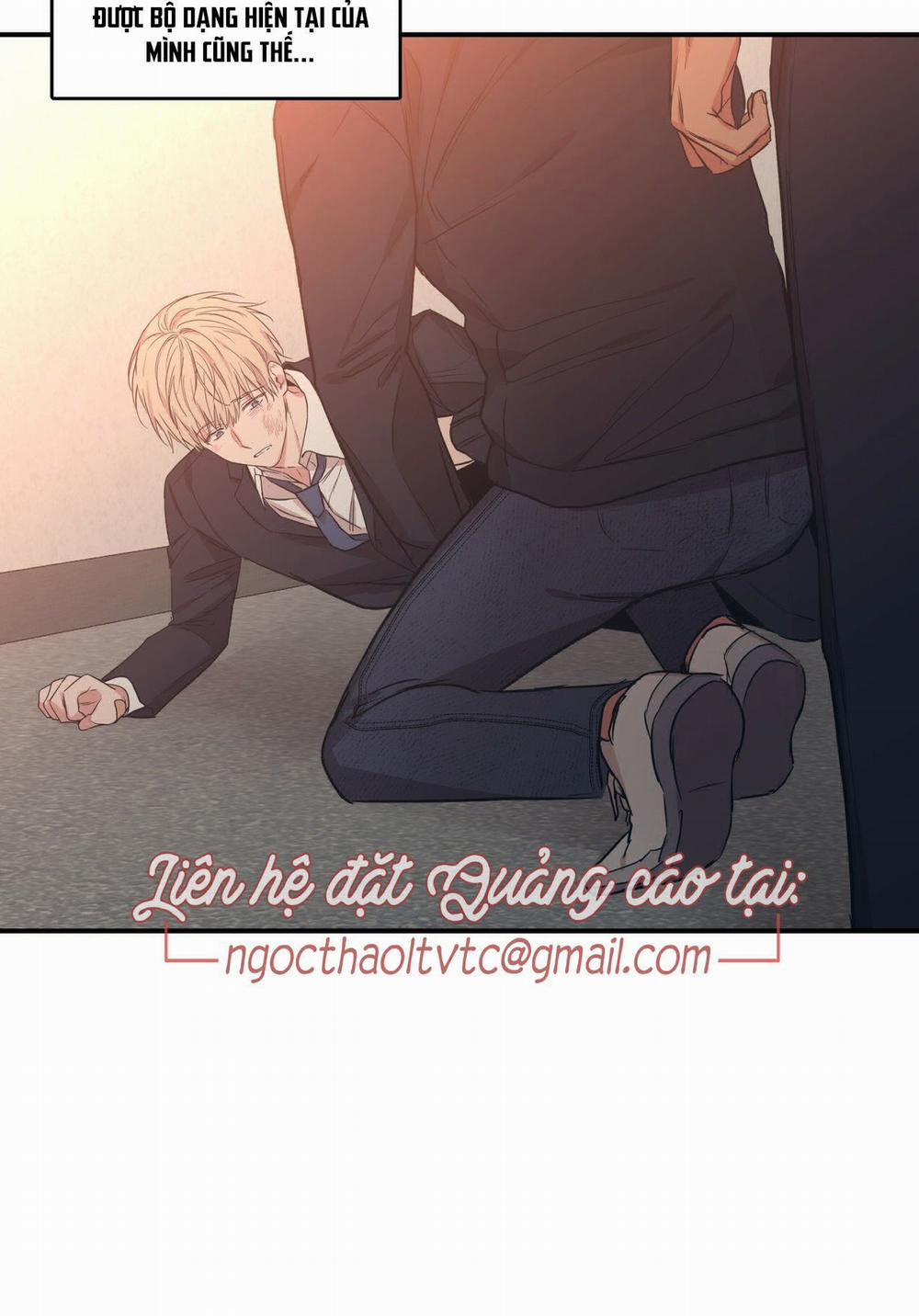 Không Chốn Yêu Đương 55 trang 61