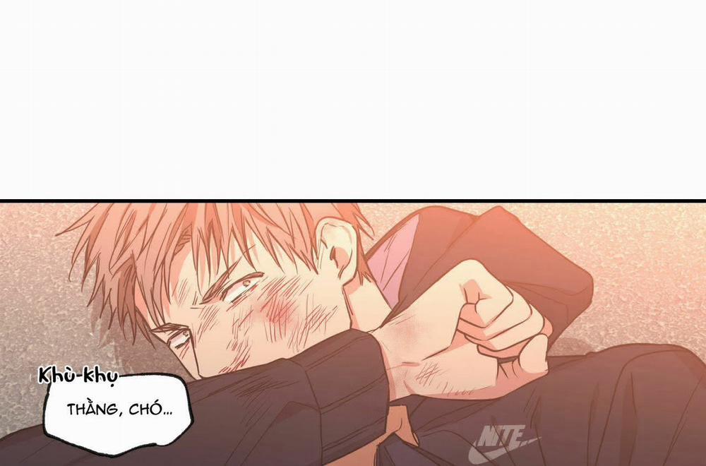 Không Chốn Yêu Đương 56 trang 21