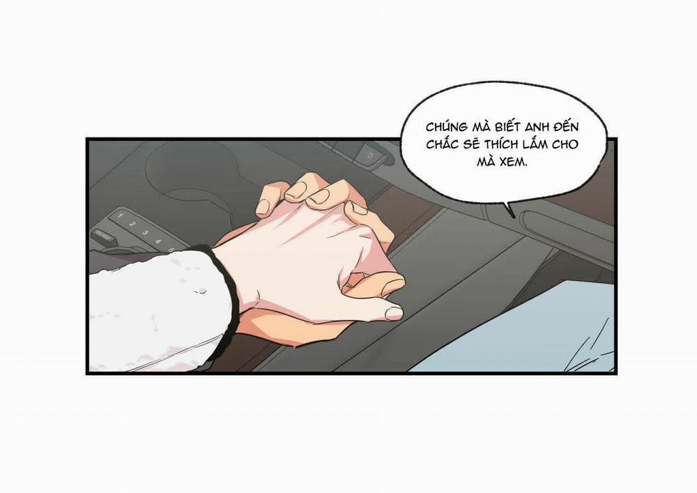 Không Chốn Yêu Đương 62 trang 82