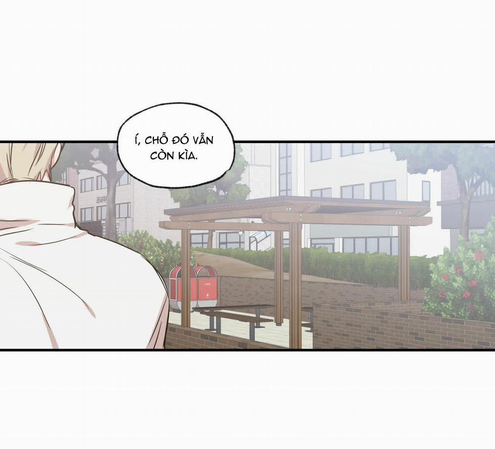 Không Chốn Yêu Đương 63 trang 21