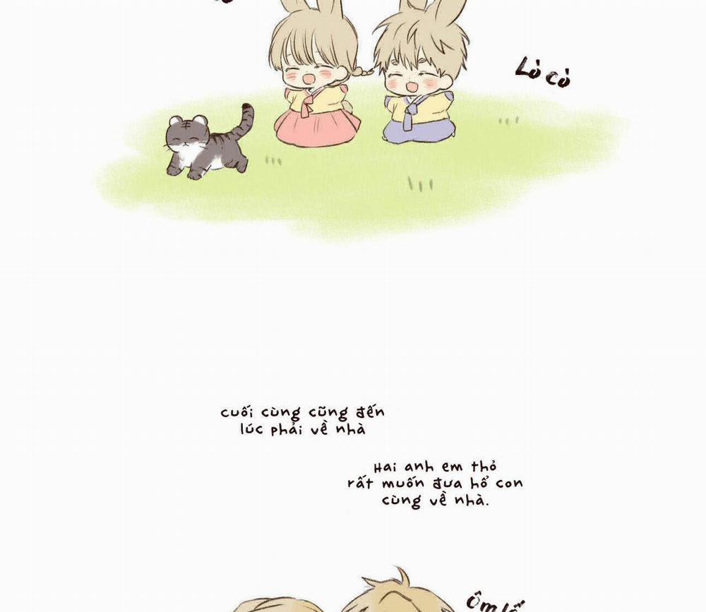 Không Chốn Yêu Đương 64.3 trang 12