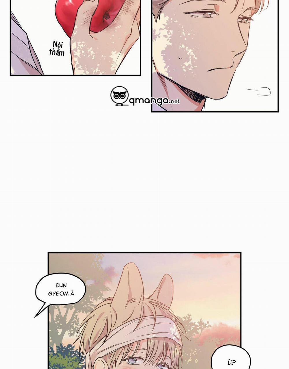 Không Chốn Yêu Đương 64.3 trang 52