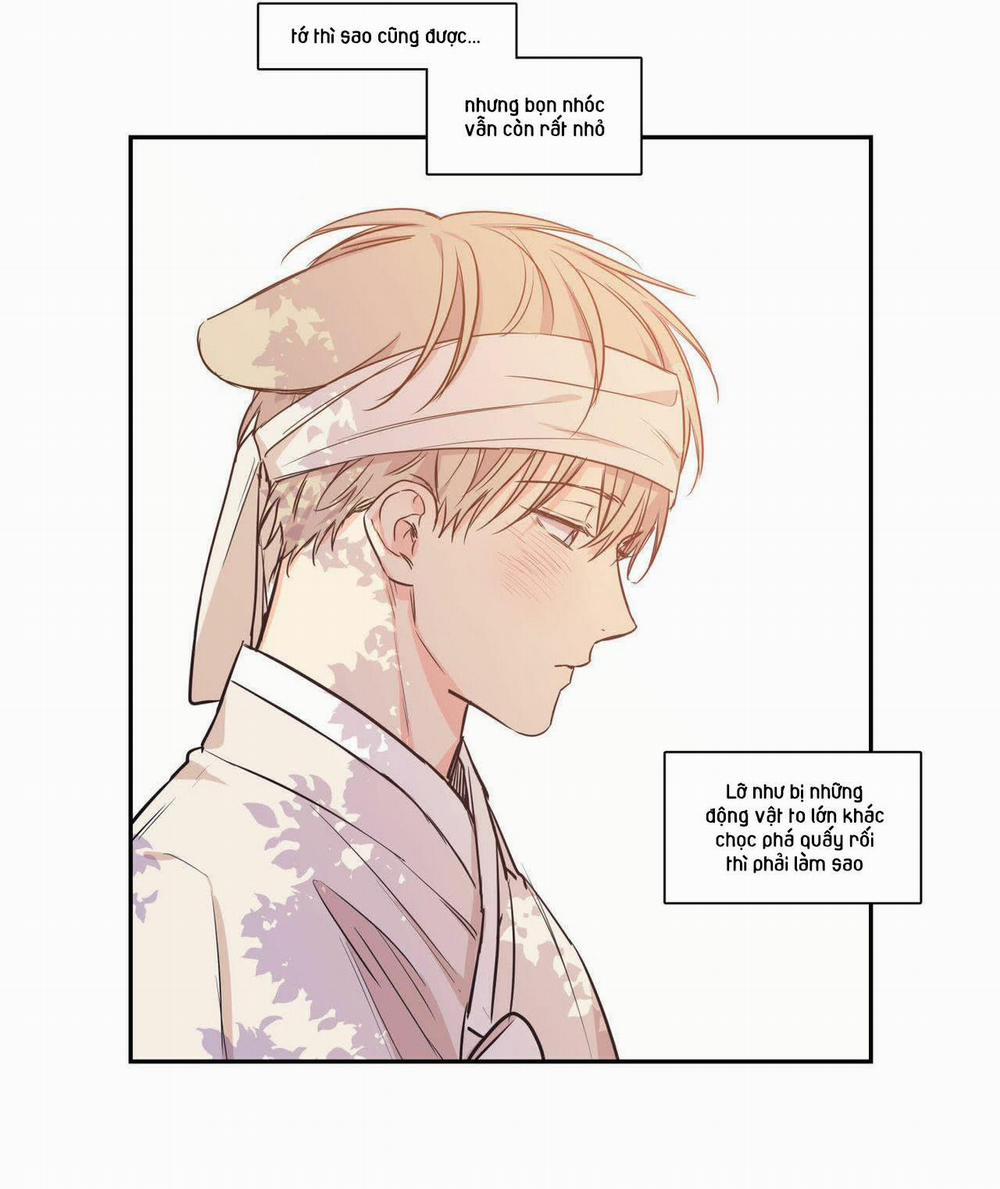 Không Chốn Yêu Đương 64.4 trang 21