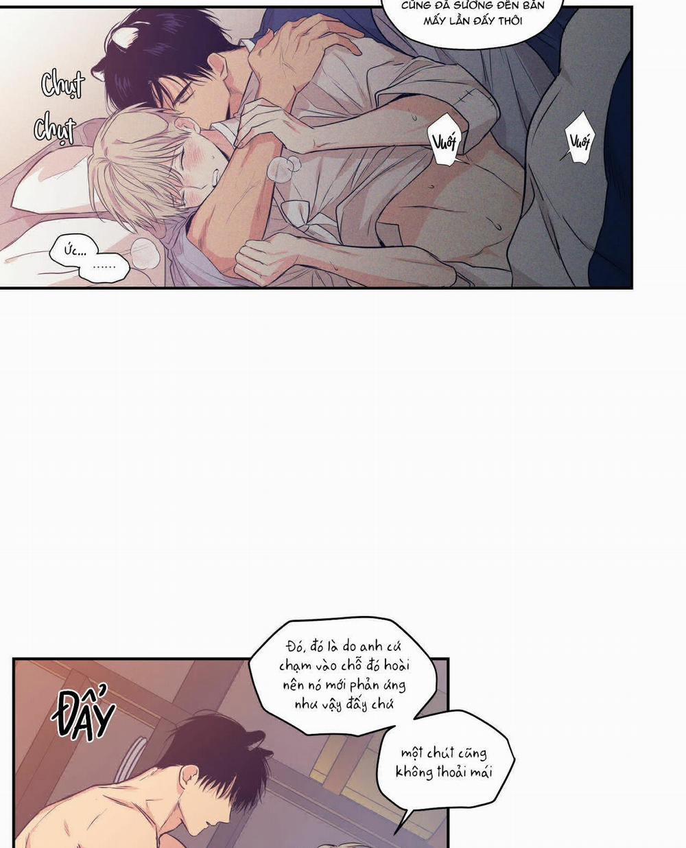 Không Chốn Yêu Đương 64.5 trang 18