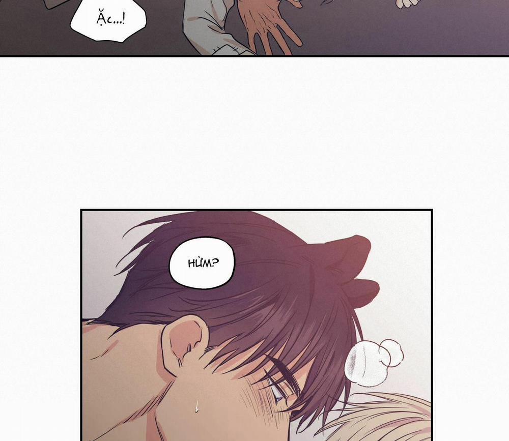 Không Chốn Yêu Đương 64.5 trang 30