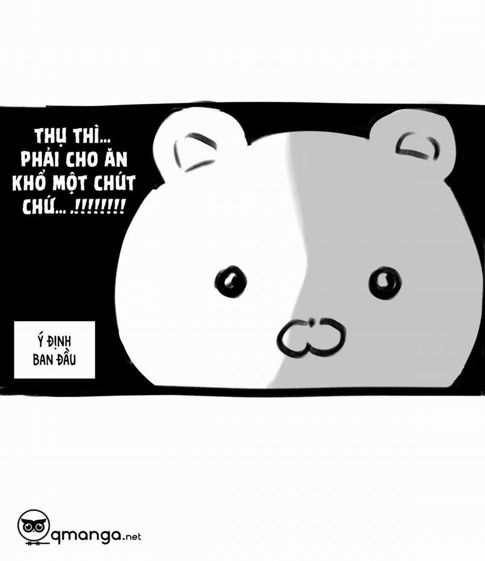 Không Chốn Yêu Đương Tái Bút trang 5