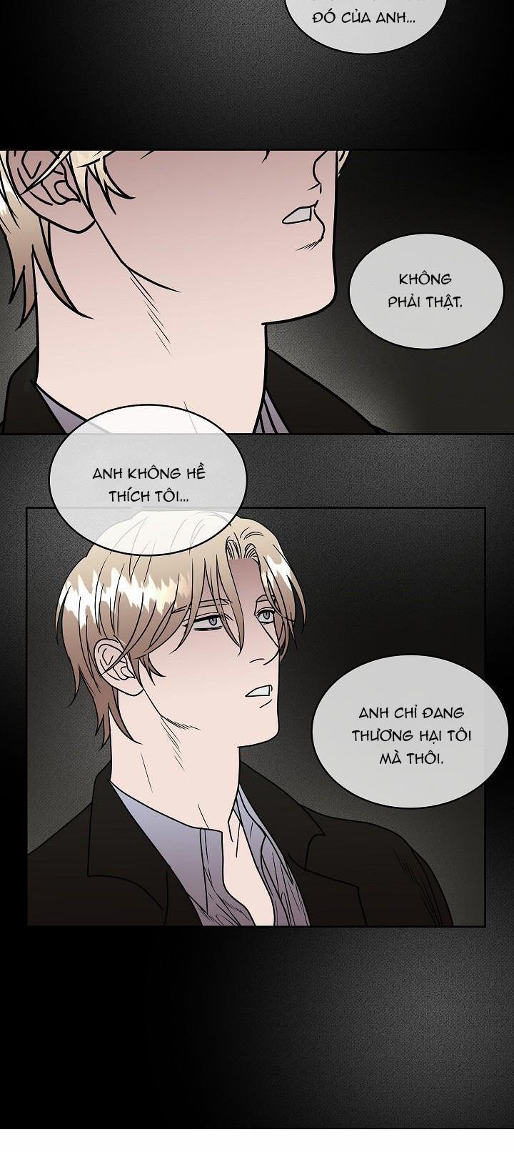 Không Hơn Không Kém 28 trang 11