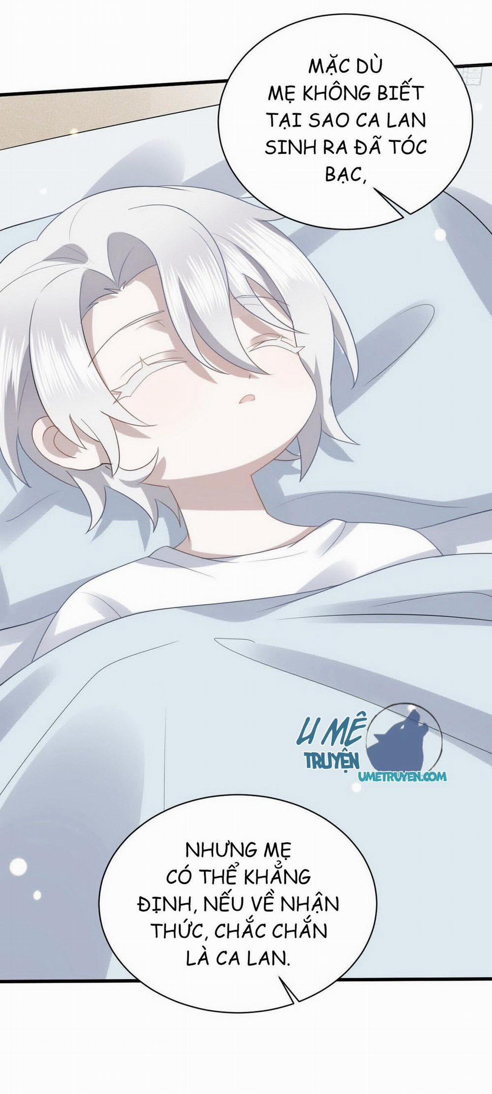 Không Nỗ Lực Thì Phải Làm Hoàng Phu 10 trang 5