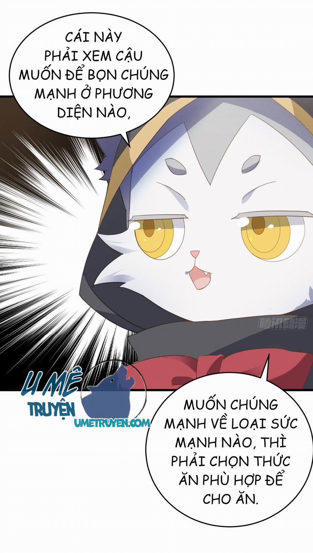 Không Nỗ Lực Thì Phải Làm Hoàng Phu 16 trang 9