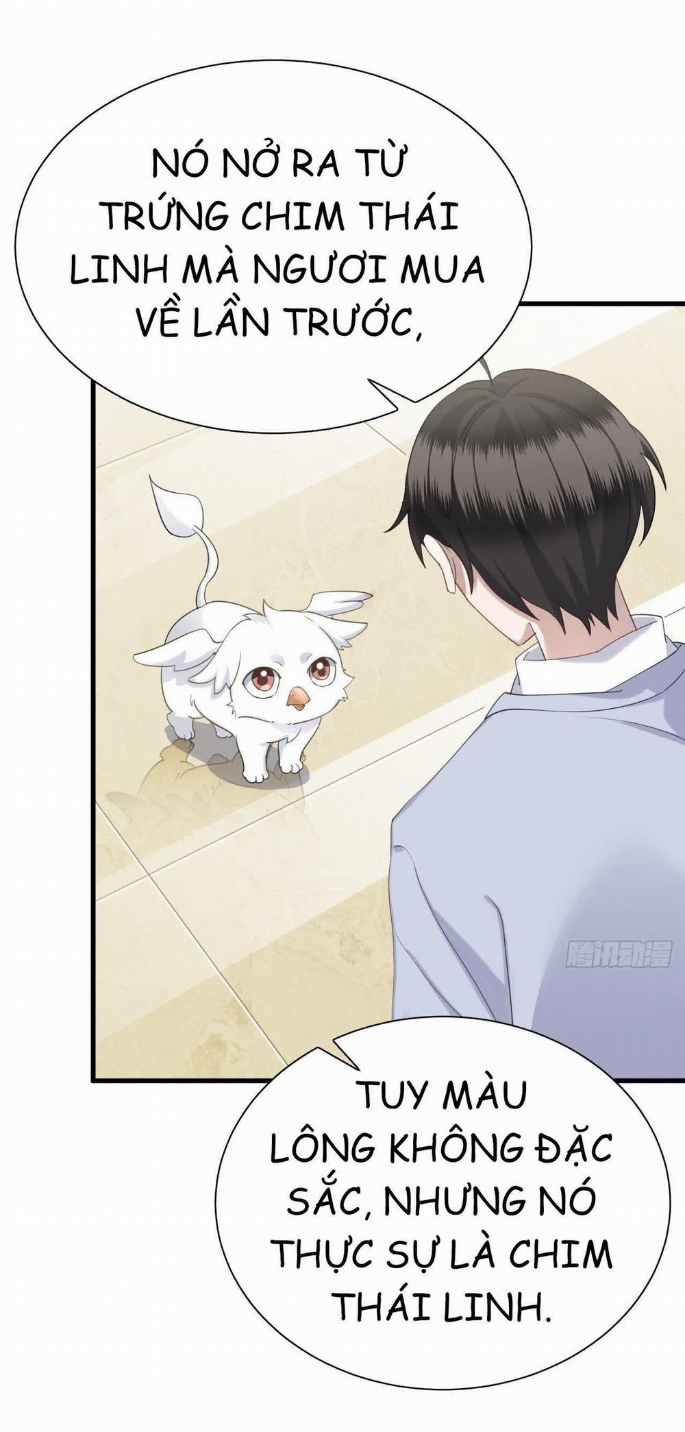 Không Nỗ Lực Thì Phải Làm Hoàng Phu 17 trang 2