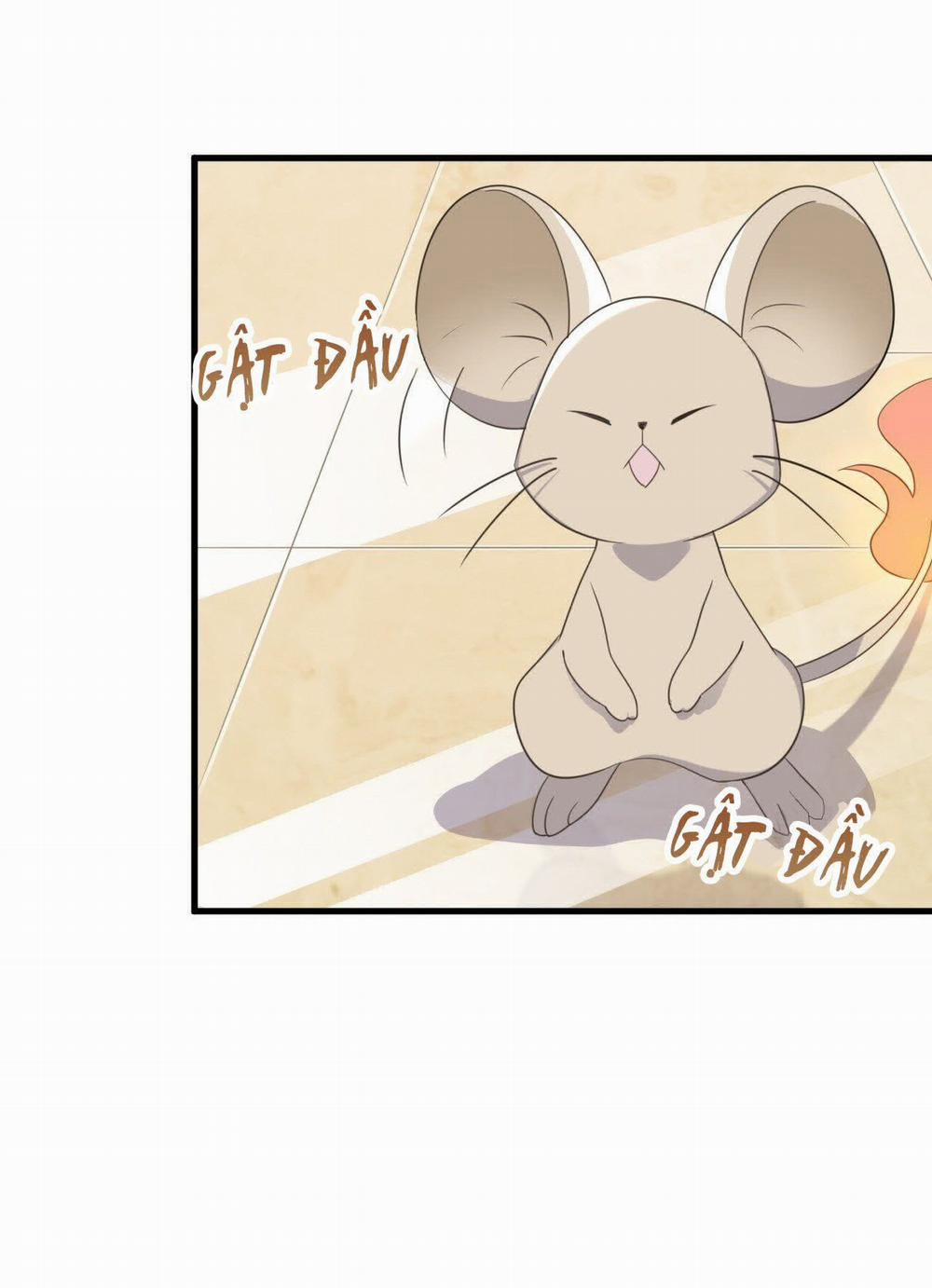 Không Nỗ Lực Thì Phải Làm Hoàng Phu 17 trang 28