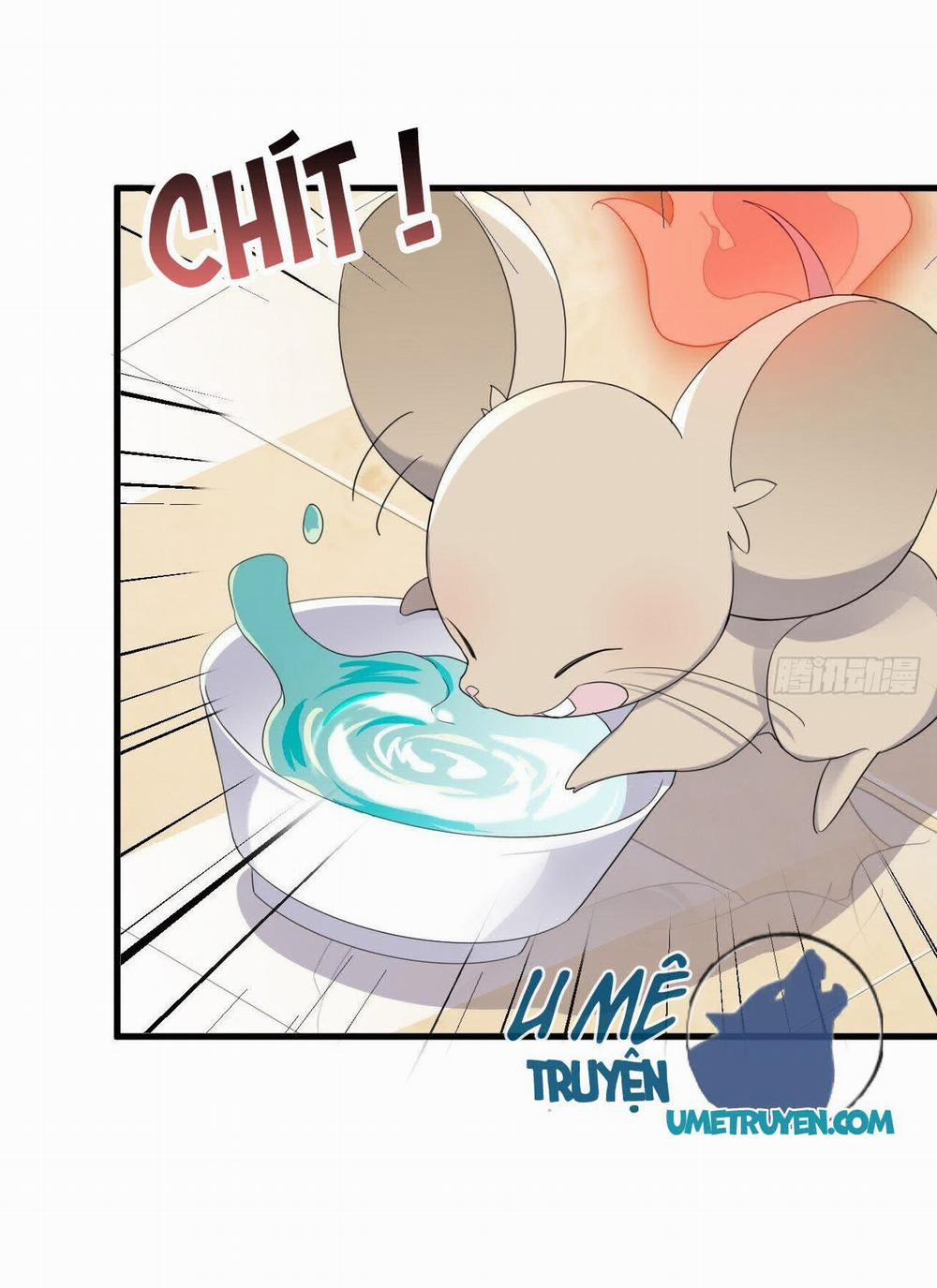 Không Nỗ Lực Thì Phải Làm Hoàng Phu 17 trang 30