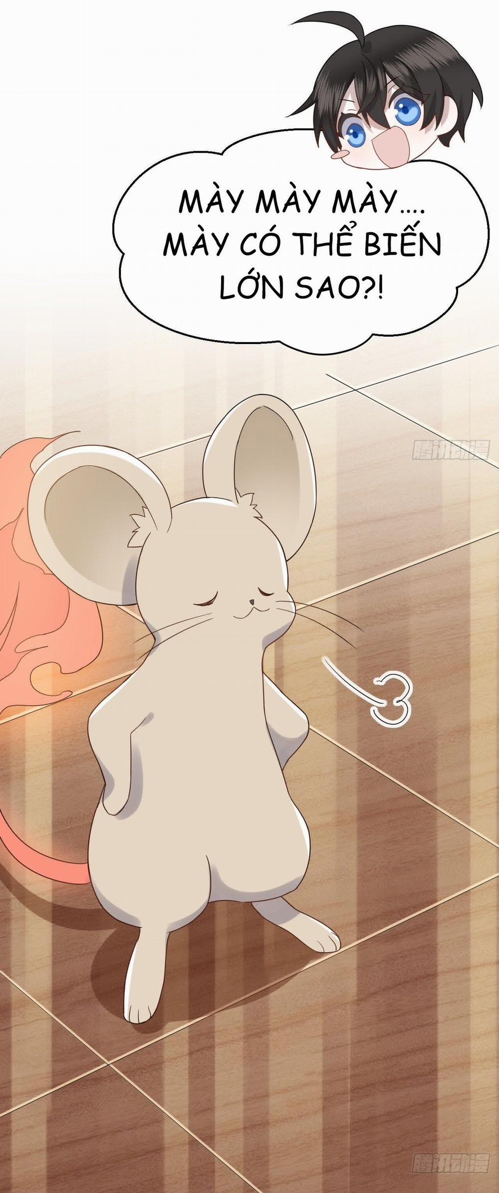 Không Nỗ Lực Thì Phải Làm Hoàng Phu 18 trang 16