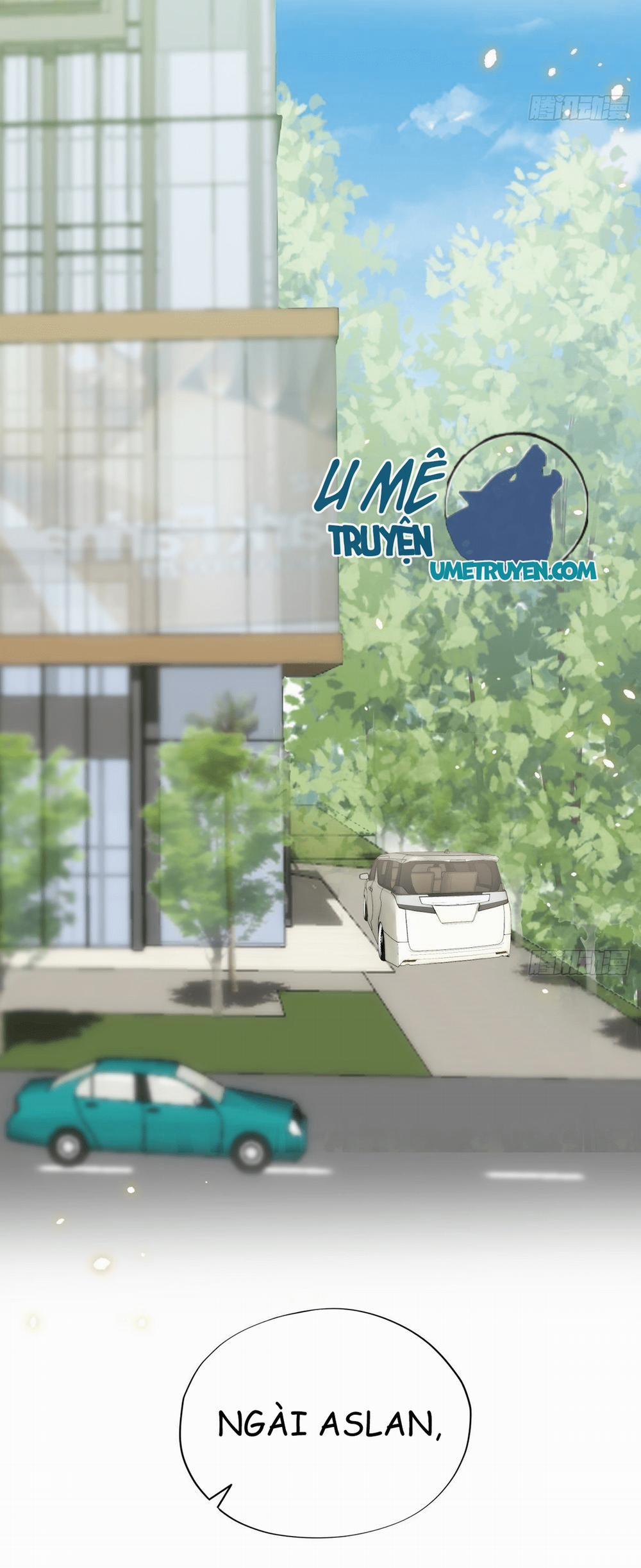 Không Nỗ Lực Thì Phải Làm Hoàng Phu 29 trang 5